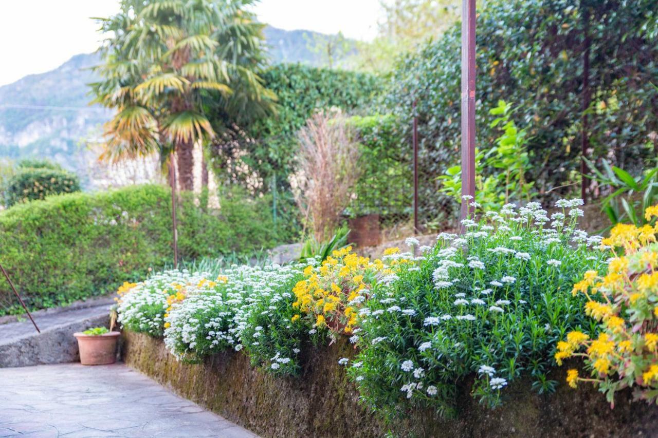 Casa Giulia Villa Lierna Exterior photo